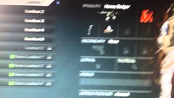 Cod Ghosts Best Class Setup (Honey Badger)