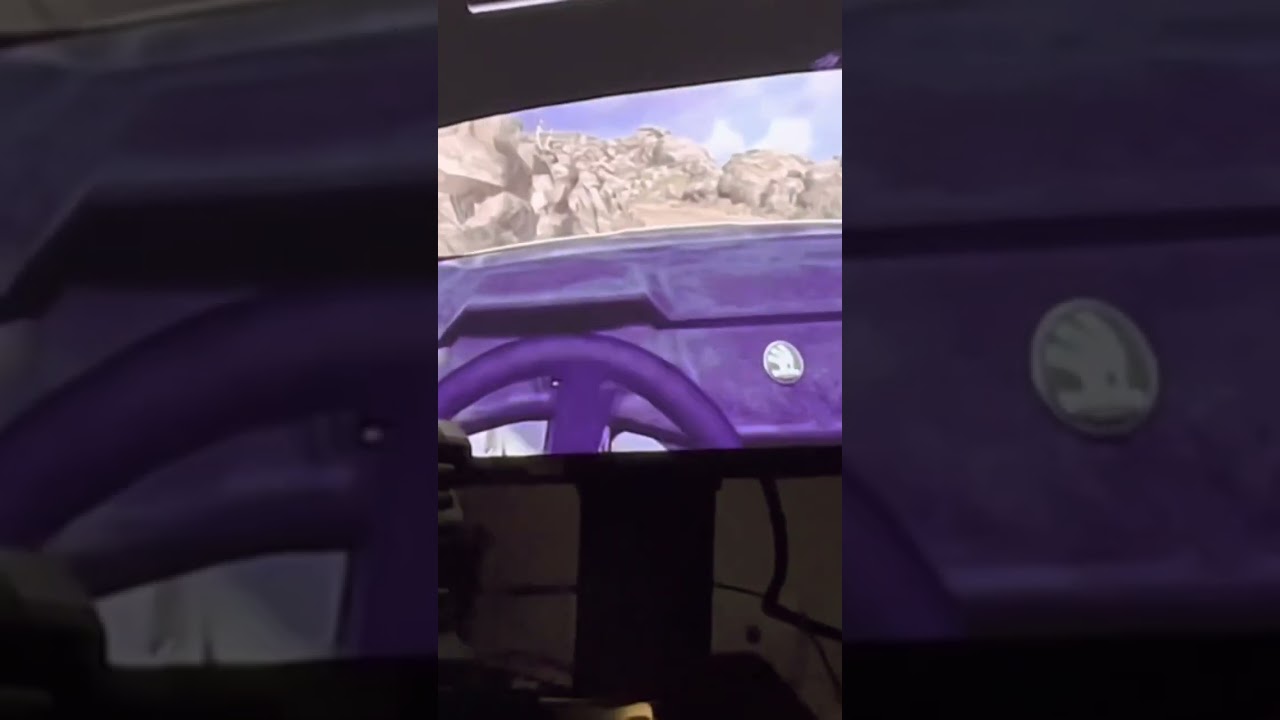 Еще Wheel Games || DIRT RALLY 2.0 