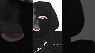 Im Koxi Txeqy Chen Kara Mashen