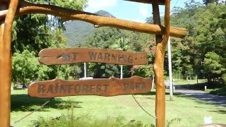 Mt Warning Rainforest Park campground - by Fozzie