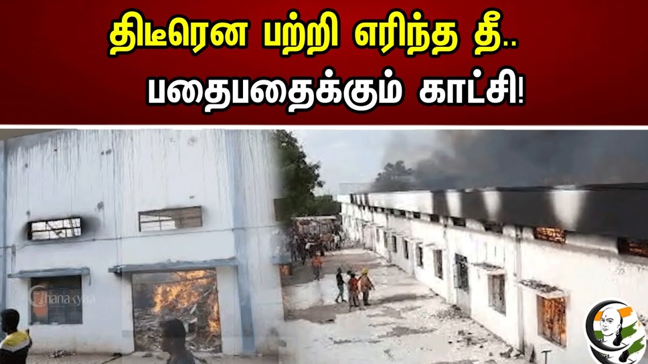 திடீரென பற்றி எறிந்த தீ.. பதைபதைக்கும் காட்சி! | Tirupur Baniyan Warehouse Fired | Materials