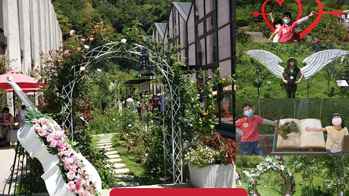 BEAUTIFUL ROSE GARDEN RESORT. How many kinds of flowers did you see? - DayDayNews