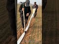 DaringFish The Supply Chain "Straight Shooter" Style #smartfarming #irrigation #agribusiness #ddp