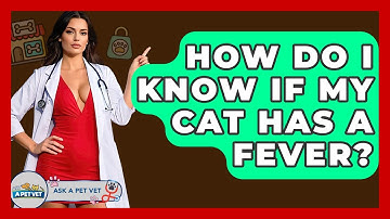 How Do I Know If My Cat Has A Fever? - Ask A Pet Vet