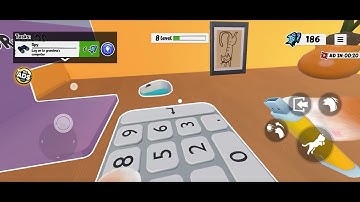 I am cat level 8 log on to grandma