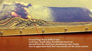 Weak layers in fold-thrust belts: Shale sandwich slip horizons