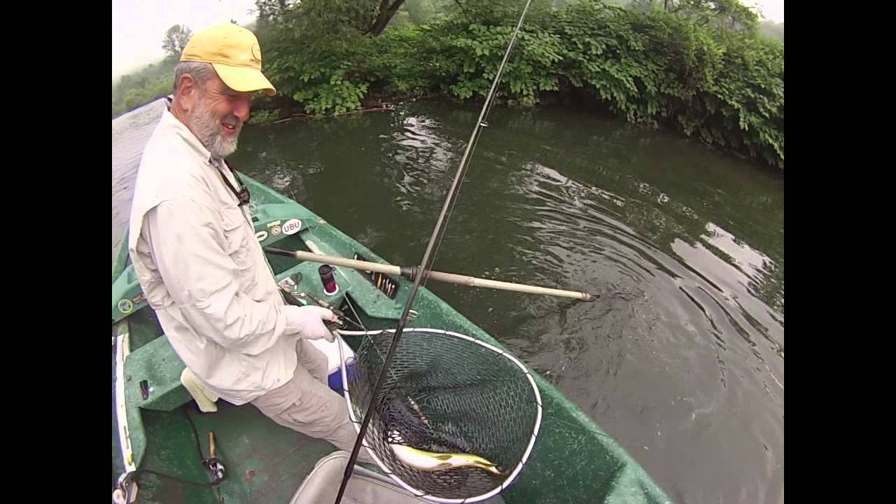 Summer Spin Fishing for Trout on the West Branch Delaware River YouTube