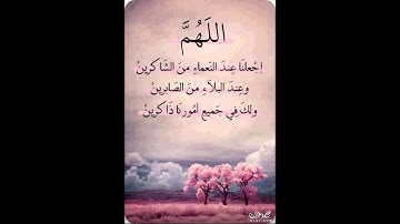 الشيخ هزاع البلوشي _ سورة الملك _ المصحف المرتل