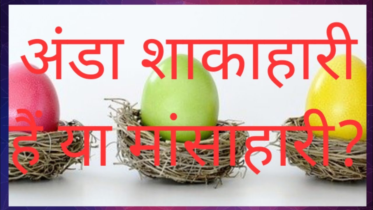 Egg veg hai ya non veg? YouTube