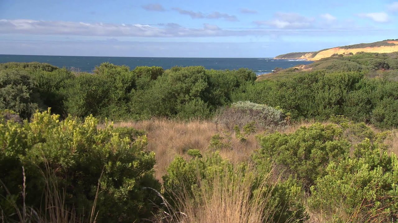 The New RACV Resort Torquay - Coxy's Big Break