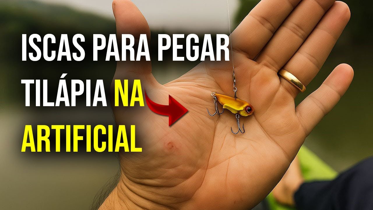 Veja as Iscas para Pegar Muita Tilápia de ARTIFICIAL. - YouTube