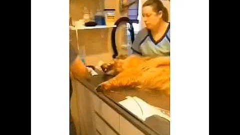 Nursing Video Part 1