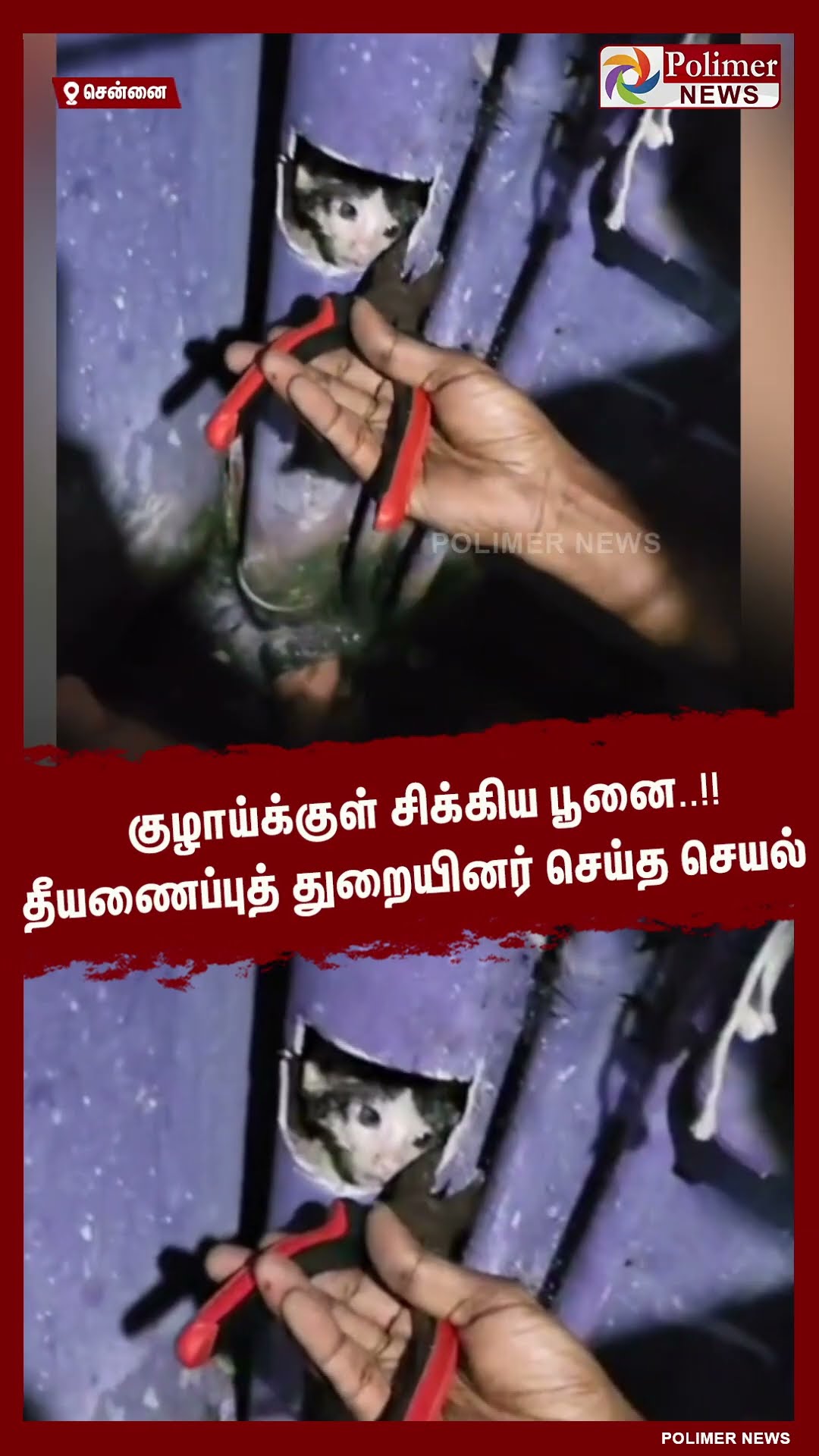 குழாய்க்குள் சிக்கிய பூனை.. தீயணைப்புத் துறையினர் செய்த செயல் #shorts