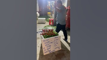 Hoa Cúc Giống Khánh Hòa A NHÀN ĐẠO Ko Tranh Mà Thắng Mầm Cúc Đại Đóa Pha Lê Xuất Miền Bắc 1/9/2025ÂL