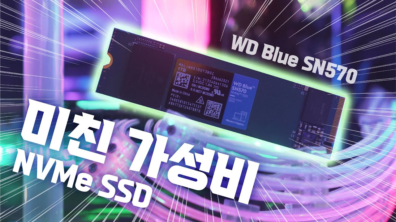 최고의 성능과  💰미친 가성비 SSD💰  WD Blue SN570 NVMe SSD 리뷰!