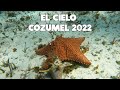 MI TOUR FAVORITO DESDE PLAYA DEL CARMEN | EL CIELO COZUMEL JUNIO 2021