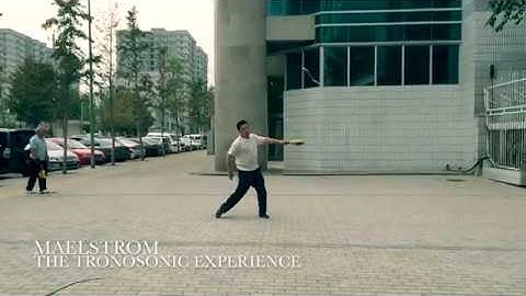 Maelstrom - The Tronosonic Experience