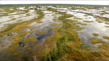 3 Gymnopédies, 6 Gnossiennes  CaptalBrokersGuadalajara.Com