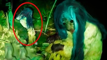 5 Video Huyền Bí Tìm Thấy Phù Thủy Trong Rừng 3 Giờ Sáng