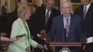 Whos The Woman In The Green Suit  Mitch McConnell In A Trance