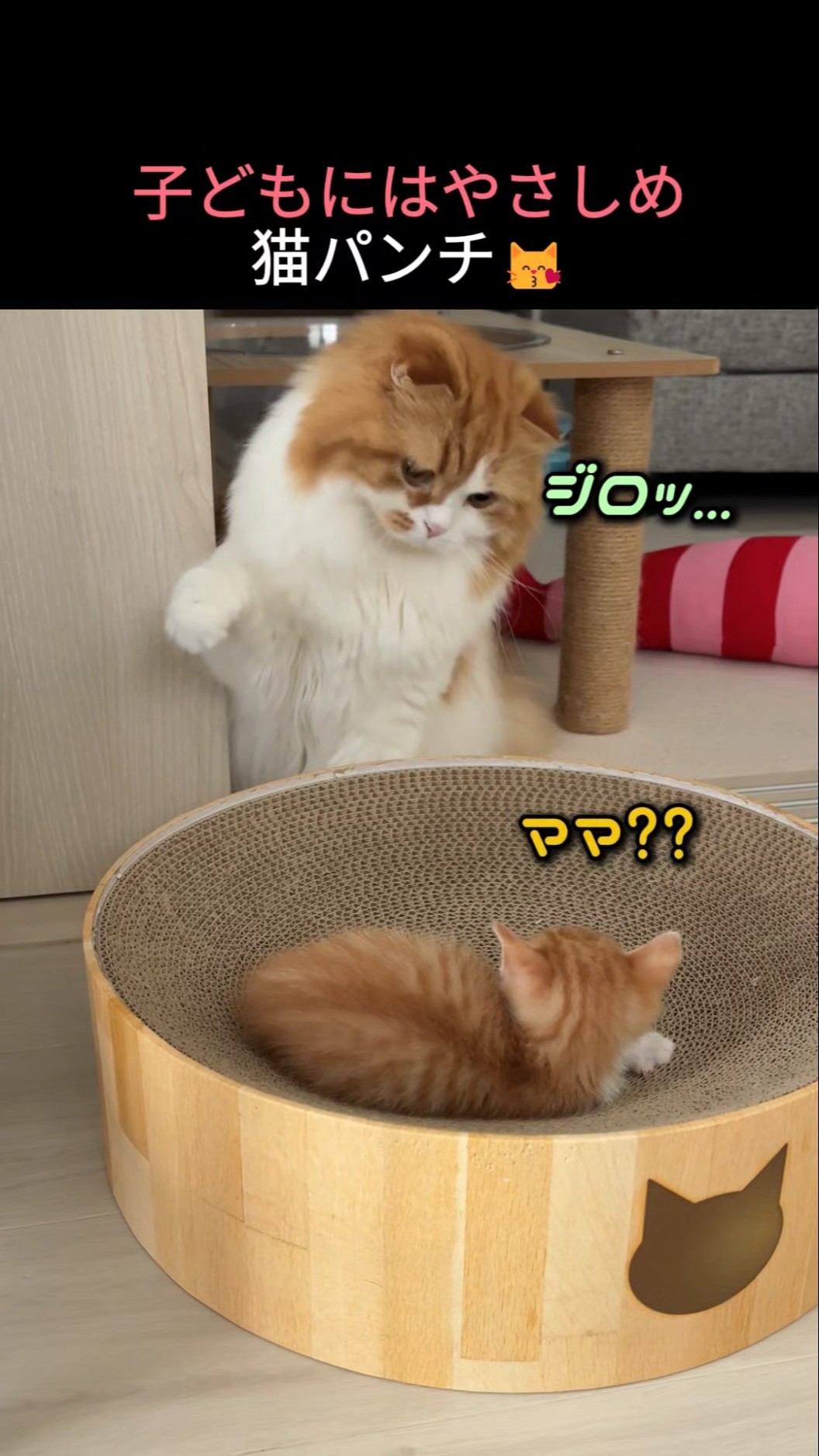 ねこパンチ A gentle cat punch for kids 😽 - YouTube