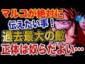 【ワンピース 予想考察】マルコが絶対に伝えたい事!過去最大の敵!正体は奴らだよい…
