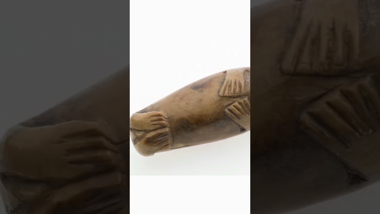 Ancient skulls show that Vikings shipped walrus ivory from Greenland to Kyiv.