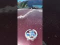 Rust or Revive? | LS1 Holden Statesman