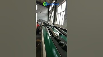 Small pumpkin sorting grading machine weight sorter grader system  vegetable processing equipment