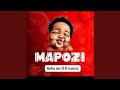 Mapozi