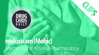 Meloxicam Mechanism of Action Pharmacology Drug Cards Daily Clips