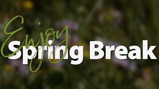 A Spring Break Message from Superintendent Erin Kane