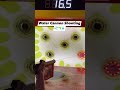 Fun Fair Water Cannon Shooting Game🦋 #arcade #arcadegame #games #funtime #fungames #funfair #enjoy