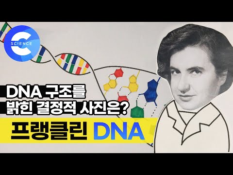 &rsquo;한 컷의 과학&rsquo; DNA구조를 밝힌 결정적 사진은 무엇일까?
