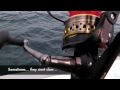 PENN Battle spin reel and Rompin sailfish