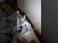 Кошкин дом джентльмены мои кассу будем брать Кошкин дом джентльмены мои кассу будем брать