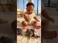 One Tiny Finger Sends Puppies Tumbling… Baby Loses It as Cats and Piglets Join the Fun! 😂🐶🐱🐷
