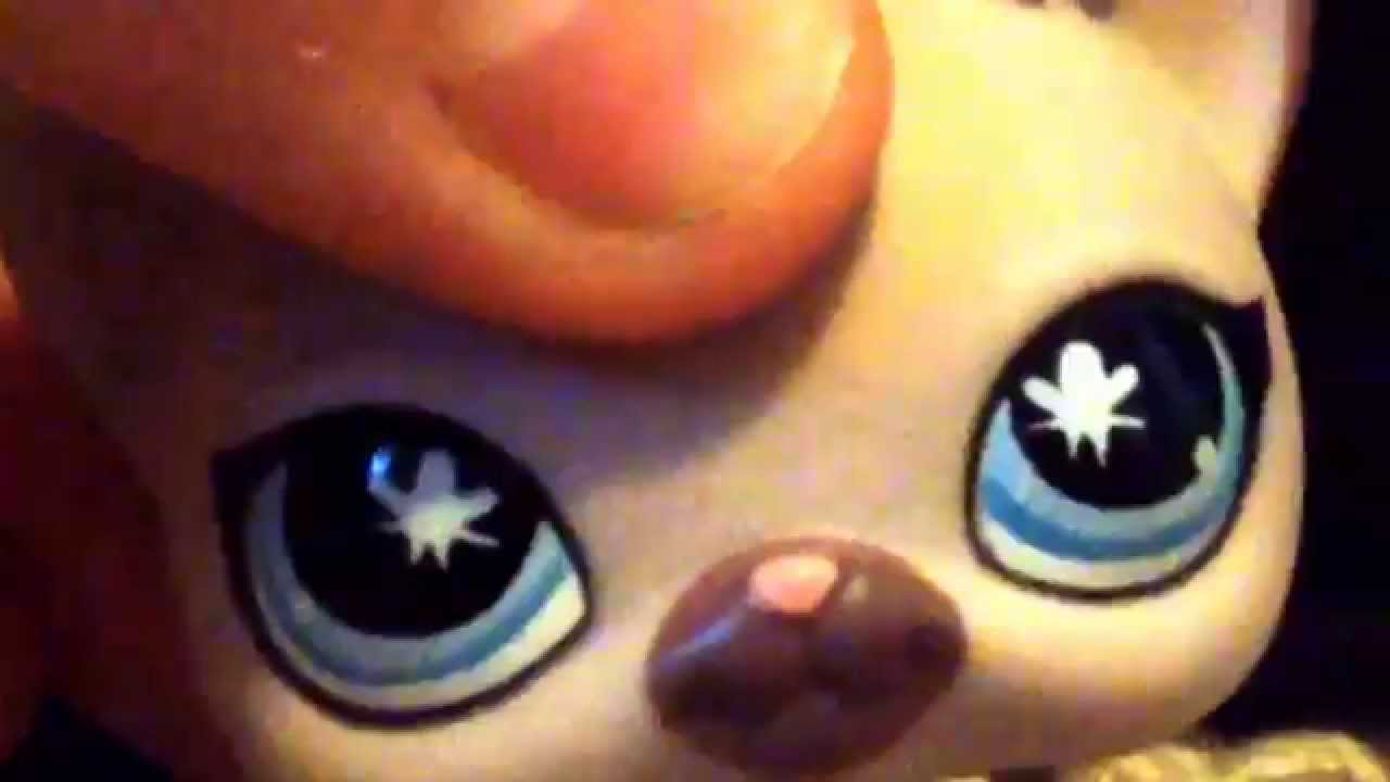 lps cat Tay Turtle; Ultimate Selfie FAIL! (LPS cat)