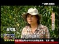 20120226 TVBS 一步一腳印 發現新台灣 - 魚池咖啡驚豔國際 (不間斷完整版)