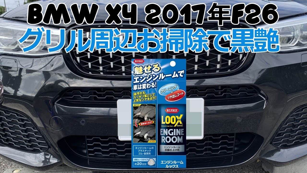 汚いけど汚れもある Restore Faded Unpainted Plastic Trim on Your Front Grille to Black
