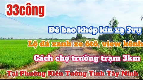 Bán 33công đất lúa 3vụ mặt tiền lộ đá xe ôtô tới đất Tại phường Kiến Tường Tỉnh Tây Ninh #bdslongan