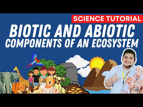 Video: Ano ang mga biotic at abiotic na salik ng tropikal na rainforest?