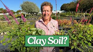 What To Plant In Autumn If You Have Clay Soil