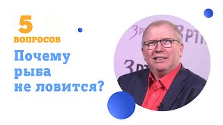 5 вопросов о том, почему рыба не ловится?