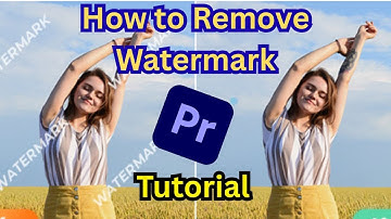 How to Easily Remove Watermark from Video in Adobe premiere pro | Hindi tutorials