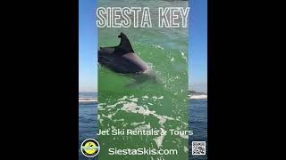 Sarasota Jet Ski Siesta Key