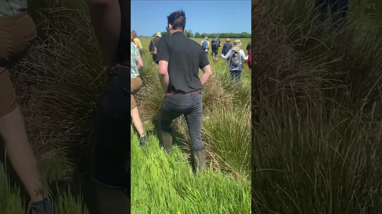 Rewilding Britain  - Broadridge Farm Site Visit