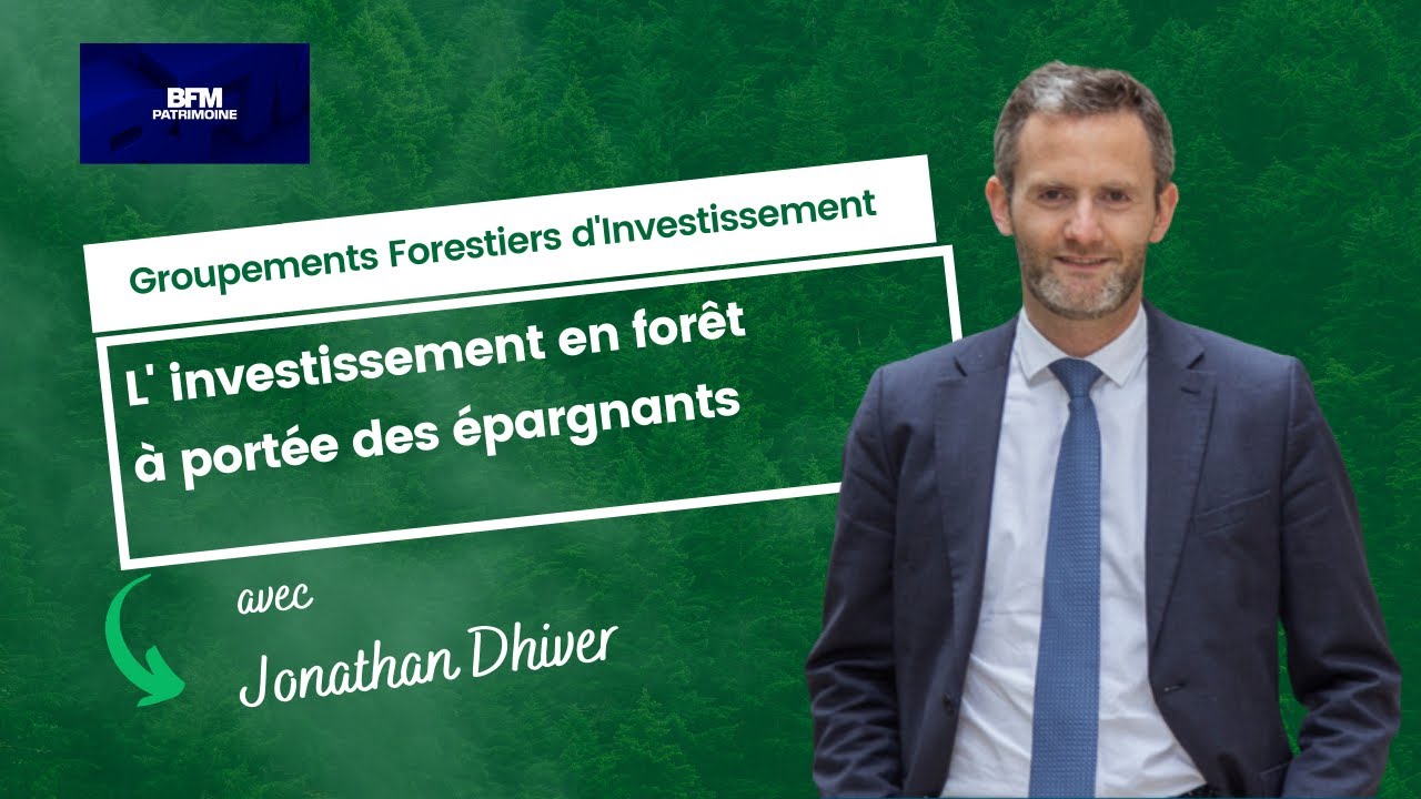 Idée de placements : l'investissement en forêt à portée des épargnants