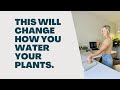 How to keep thirsty houseplants happy with a water system by rainpoint