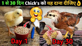 1 से 30 दिन तक Chick's को यह Feed दीजिए, वजन बढ़ेगा तेजी से👌 screenshot 5